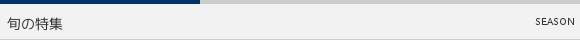 旬の特集